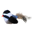 Cat Kitten Soft Bird with Feather Tail Artificial Bird Cat Toy with Sound