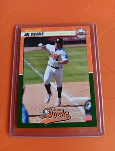 Joe DeCarlo Baseball Card Long Island Ducks 2023 Atlantic League Rare - Picture 1 of 2