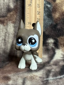 Authentic Littlest Pet Shop LPS Brown Cream Great Dane Dog G7 #170 - Picture 1 of 6