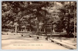 PUBLIC CAMP ELLENDALE STATE FOREST MILFORD DELAWARE POSTAL MAYROSE de colección - Imagen 1 de 2