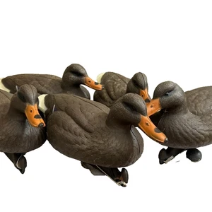 REDUCED! Flambeau Duck Decoy Flock - 5 Vintage Molded Plastic Hunting Mallards - Picture 1 of 7