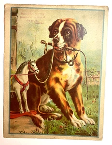 Victorian 1880s Dog holding Whip and Reins of Rocking Horse w/ Bible Scripture - Picture 1 of 4