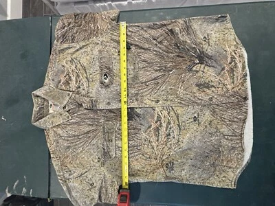 2 Piezas Camuflaje Explorer SS Camiseta y Camisa con Botones Cepillo Roble Mossy a Juego Foto 1 de 4