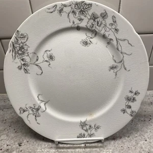 J & G Meakin Cologne Black Transferware 9 7/8" Dinner Plate - Picture 1 of 10
