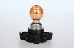 2pcs PHILIPS PY24WSV PGU20-4 12274SV lamp SILVER Bulb PGU20-4 turn singal light - Picture 1 of 2