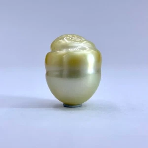 South Sea Pearl Golden Circle 13.15 mm Lombok Indonesia 2.07 g undrilled - Picture 1 of 9