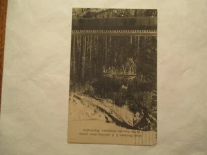 Great Northern Railroad 3 Tracks Cascade Mountain Washington WA WN 1913 Postcard - Picture 1 of 2