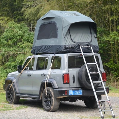 Tienda de techo Softshell para 2-3 personas con escalera para camión tienda inflable impermeable Foto 1 de 4