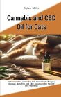 Miles - Cannabis and CBD Oil for Cats  Understanding Cannabis Oil Hom - J555z