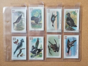 Church & Dwight-New Series Of Birds 'Series A'(1908)-Full set-EXC* - Picture 1 of 10