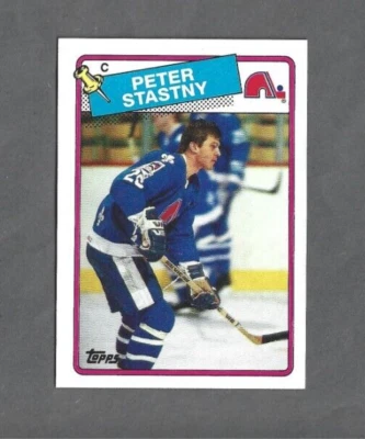 Peter Stastny HOF Quebec Nordiques 1988-89 Topps #22 - Image 1 of 2