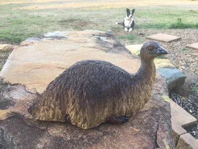 Baby Emu Sitting Down Figurine Ornament - image 1 of 4
