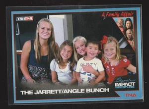 TriStar Signature Impact #65 2011 A Family Affair: The Jarrett/Angle Bunch - Imagen 1 de 2