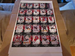 2016-17 NIAGARA ICEDOGS OHL UNCUT SHEET TEAM SET