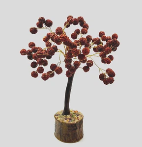 108 Bead Rudraksha Tree Sacred Rudraksh tree for Meditation & Spiritual Practice - Picture 1 of 3
