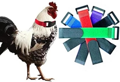 Paquete de 6 collar de gallo sin cuervo, collar de pollo anti-gancho banda para el cuello sin ruido Foto 1 de 4