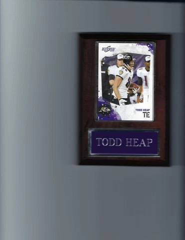 RAY RICE PLAQUE BALTIMORE RAVENS FOOTBALL NFL   C Cover