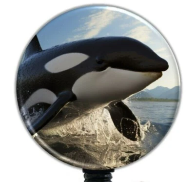 Carrete de insignia retráctil orca ballena, soporte de clip de insignia de identificación giratorio o deslizante - 6424 Foto 1 de 4