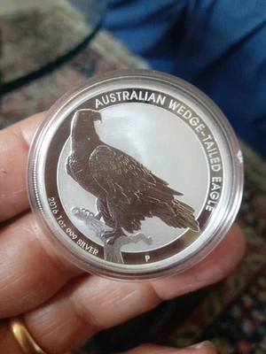 2016 Australia wedge tailed eagle 1 Doplaro 1 oz oncia argento silver 999 - Immagine 1 di 4