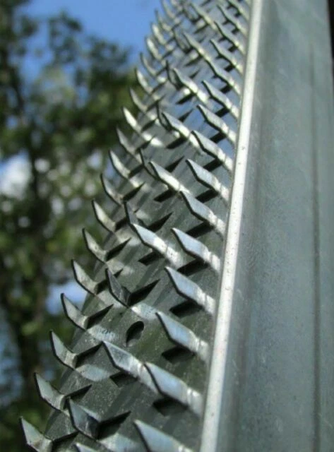 Boss Buck Shark Teeth 1 1/2" Wide Strips x36 - (BB-1.36)