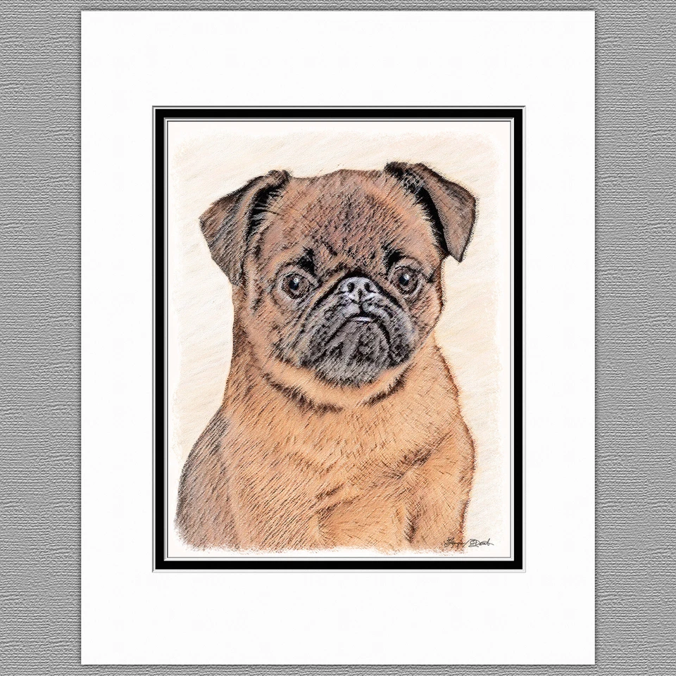 Impresión artística original lisa Brussels Griffon Bruxellois 8x10 mate a 11x14 Foto 1 de 1