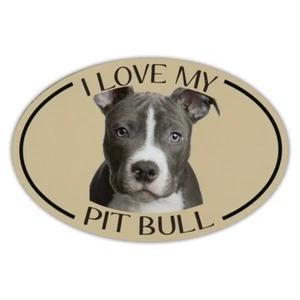 Oval Hunderasse Bild Auto Magnet - I Love My Pit Bull Aufkleber - 6" x4" - Bild 1 von 1