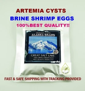 Artemia Cysts 90% ALASKA USA PREMIUM High Quality Guarantee Brine Shrimp Egg - Picture 1 of 6