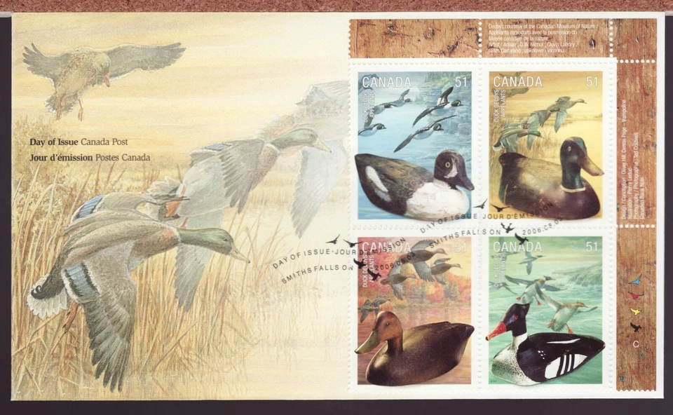 2006 / #2166a UR Pl. BL OFDC - Canada Duck Decoys Mallard, Black, Merganser etc - Image 1 of 1