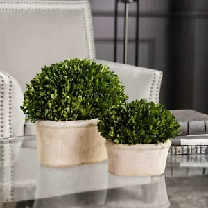 Uttermost 60107 ovale Kuppeln konserviert Buchsbaum Terrakotta Pflanzgefäße - 2er Set - Bild 1 von 3