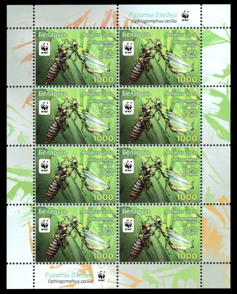 BELARUS 738 - Green Snake-tail Dragonfly "Ophiogomphus cecilia" (pb78057) - Image 1 of 1