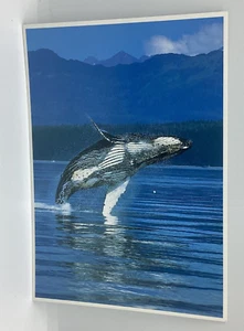 Postal Jorobada Ballena Vida Marina 6x4 L312 - Imagen 1 de 2