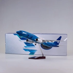1/85 47cm Xiamen Airlines Beijing DaXing Livery B737-800 Resin Model (no lights) - Picture 1 of 14