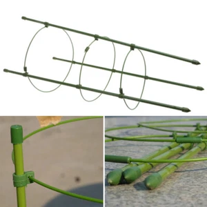 adjustable conical shaped trellis support Peony Supports for Outdoor Plants - Picture 1 of 12