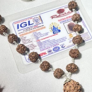 20 Perline di Giava + 1 Perline Nepalesi Argento Sterling 1 Perline Preghiera Mukhi RUDRAKSH - Foto 1 di 3