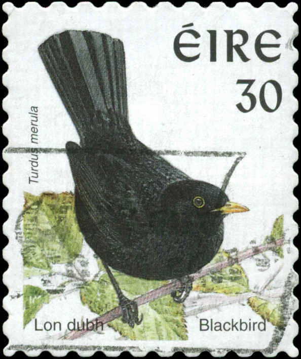 Ireland  Scott #1115B Used - Image 1 of 1