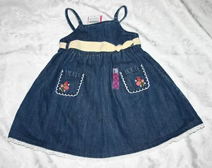 Abito maglione Gymboree STRAWBERRY PATCH denim gingham e occhielli nuovo con etichette 18-24 mo - Foto 1 di 3