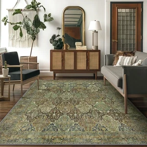 Area Rug 3X5, Aesthetic Rugs for Living Room, Non Shedding Non Slip Machine W... - Bild 1 von 9