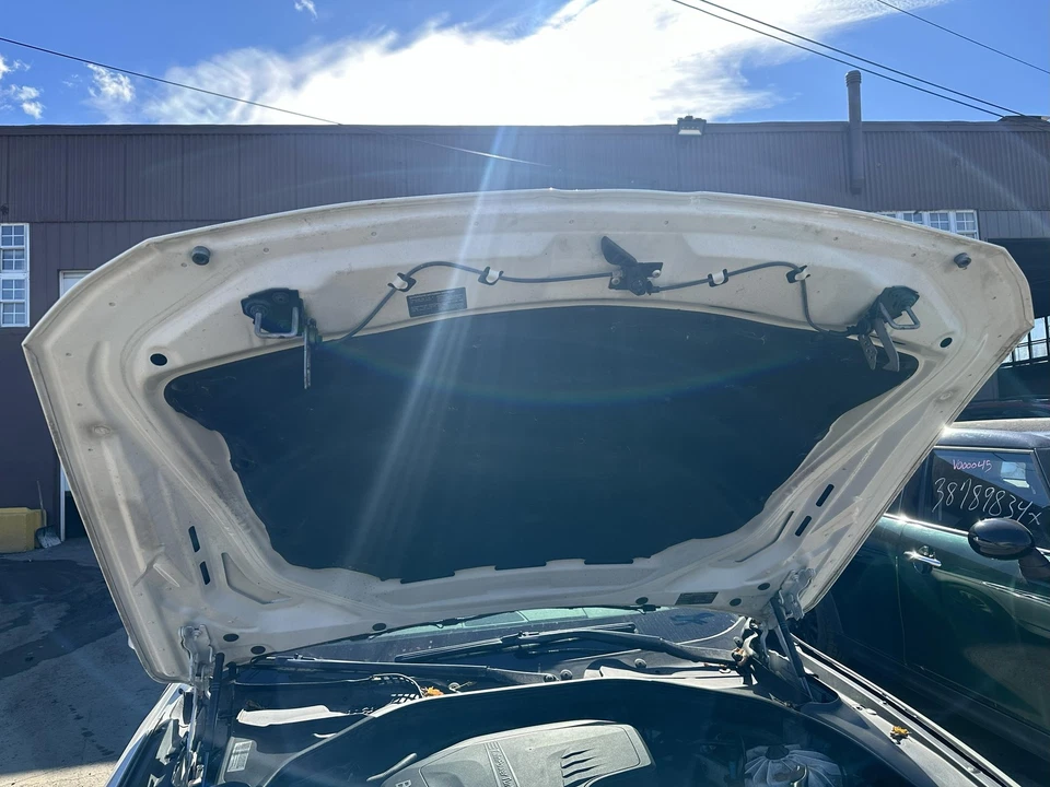 Used Hood fits: 2012 Bmw 528I  Grade A Foto 1 de 4