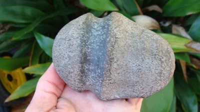 Near Perfect GROOVED AXE Georgia Florida 箭头 ~ 5 ~ — 第 1/4 张图片