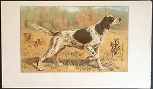 English Setter Hunting Dog ~ Color Lithographed Cigar Label w/o Advertising - Picture 1 of 3