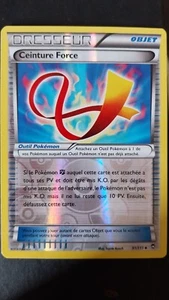 Ceinture Force (FFI 91) Poings Furieux Français Reverse 240627A - Foto 1 di 2