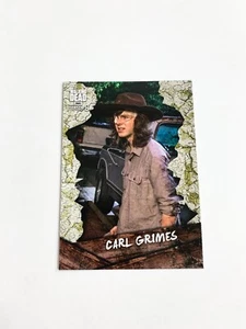 Carl Grimes Personaggio 2018 Topps Walking Dead Stagione 8 Parte 1 Carta # C-10 - Foto 1 di 2