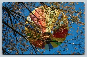 Regenbogen Heißluftballon am Himmel durch Bäume gesehen Vintage Postkarte 0798 - Bild 1 von 2