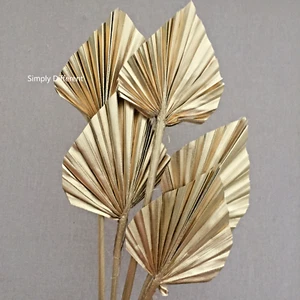 Mazzo di 5 MINI lance di palma essiccate in oro, TOPPER PER TORTE - Foto 1 di 4