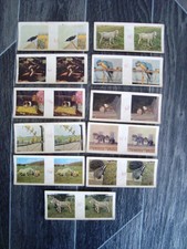 11 Different Weetabix 3D Cards  OUR PETS