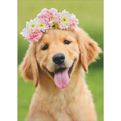 Tarjeta de notas en blanco Avanti Press Golden Retriever con corona de flores linda para perro Foto 1 de 2