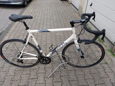 Rennrad Giant Alu XL Rahmen Gr 60 cm mit Campagnolo - Bild 1 von 4