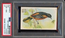 1915 J5 Church & Dwight Useful Birds of America #7 Oriole PSA 8.5