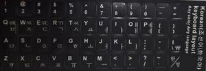 Koreanische Tastaturaufkleber. Versand heute noch. - Photo 1/3
