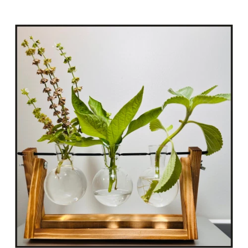 Estación de propagación de plantas soporte para jarrón de vidrio interior | Planta de tubo de ensayo hidropónico Foto 1 de 4